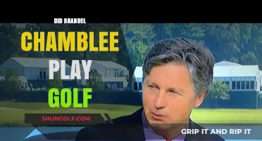 Brandel Chamblee's Golf Career: From Playing to Commentating