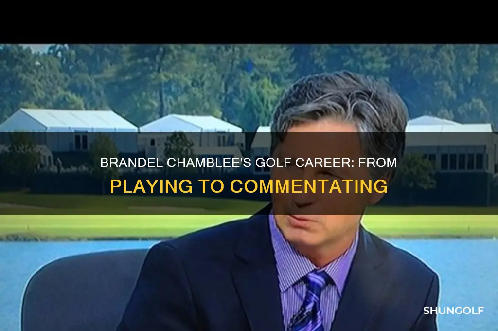did brandel chamblee play golf