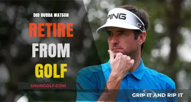 The Retirement of Bubba Watson: What's Next?