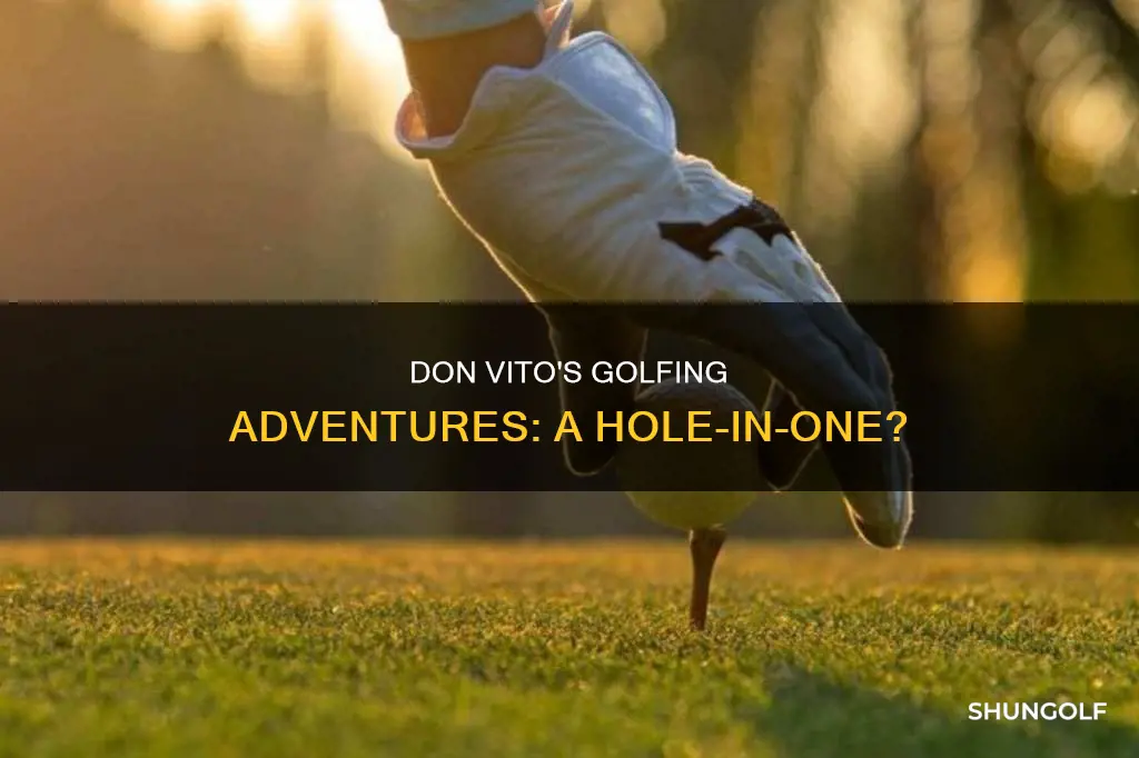 did don vito golf