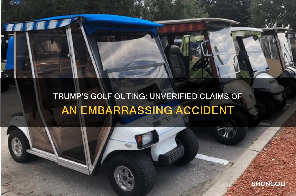 did donald trump poop his pants while golfing