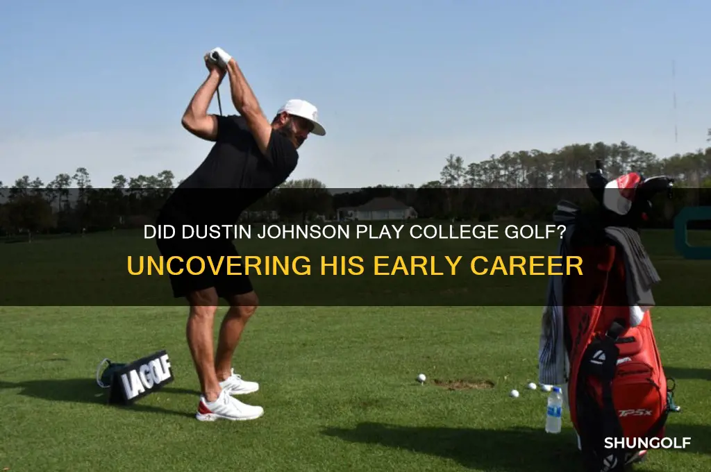 did dustin johnson play college golf