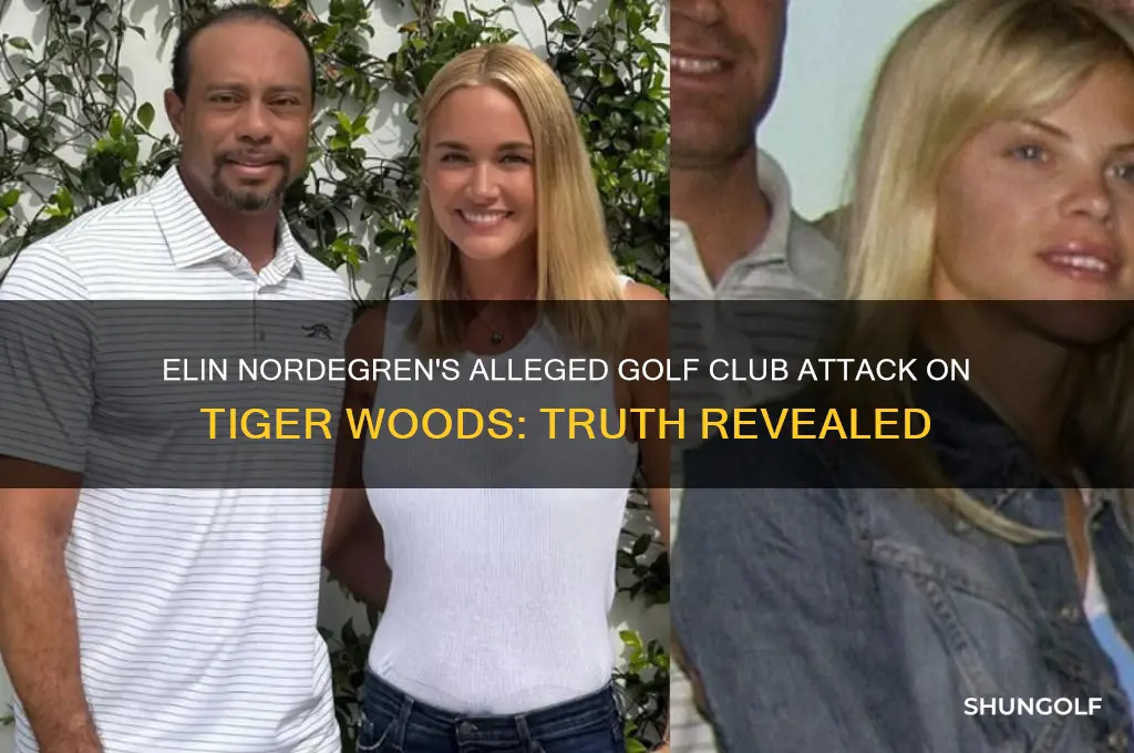 did elin hit tiger with a golf club