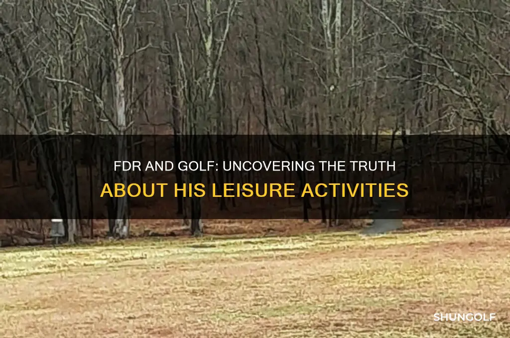 did fdr play golf