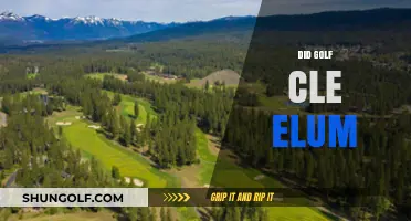 Golfing in Cle Elum: A Relaxing Retreat