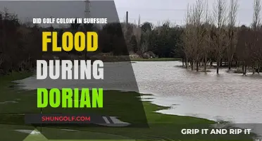 Golf Colony Surfside Flooding: Impact of Hurricane Dorian Revealed