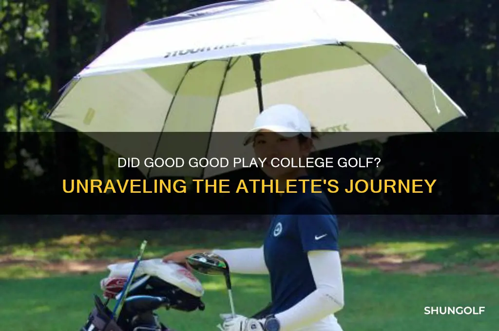 did good good play college golf