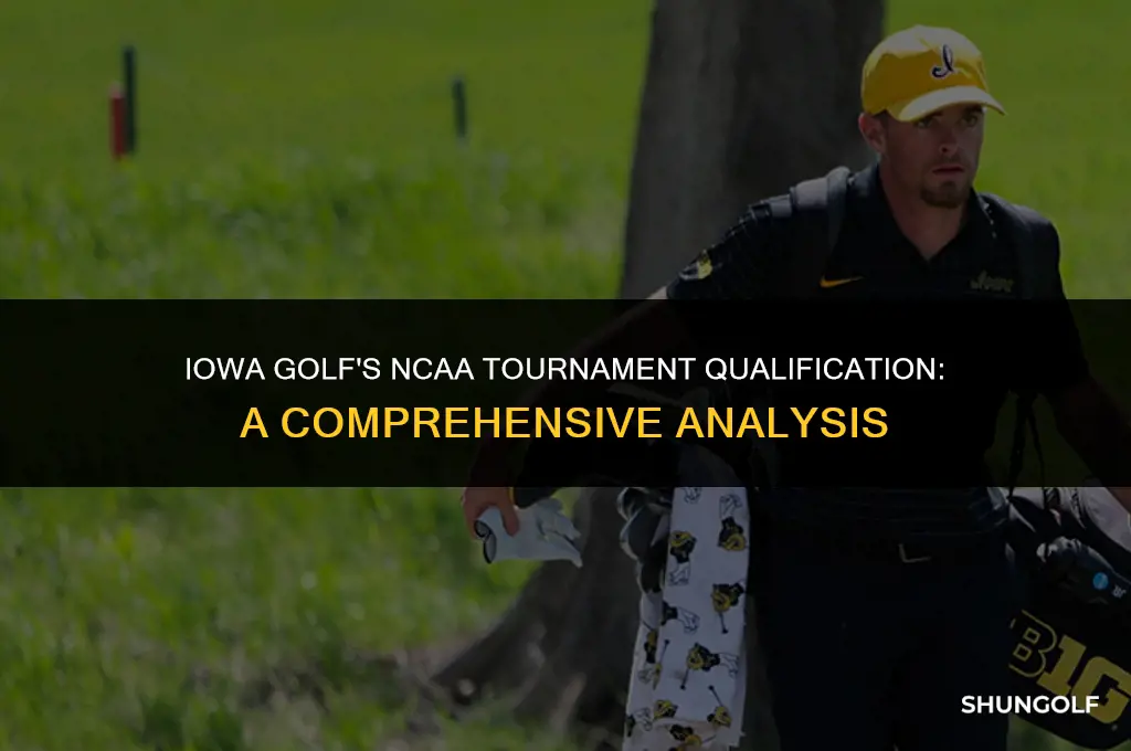 did iowa golf qualify for ncaa tournament