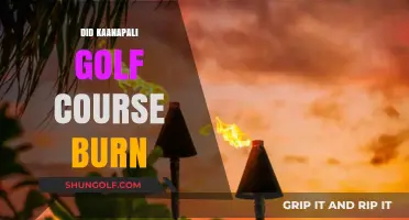 Kaanapali Golf Course Fire: What Really Happened and Current Status
