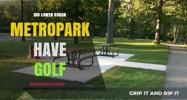 Golfing at Lower Huron Metropark: A Hole-in-One Experience