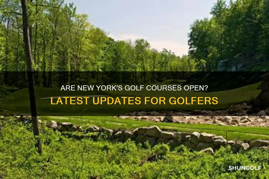 did new york open golf courses