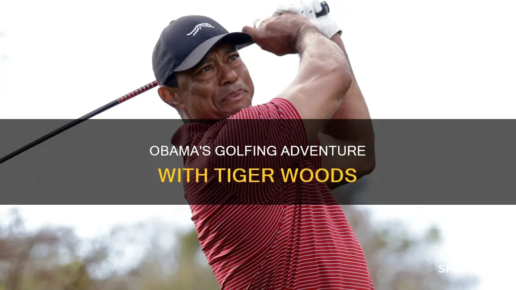 did obama golfing with tiger woods