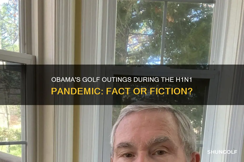 did obama play golf during h1n1
