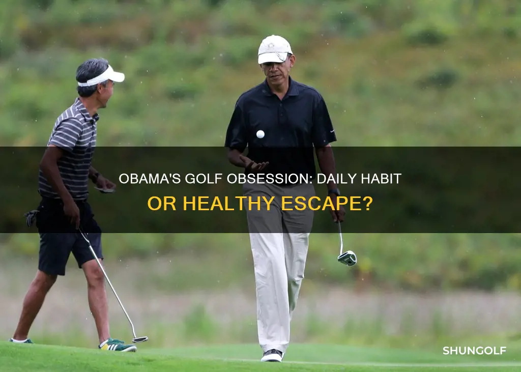 did obana golf daily