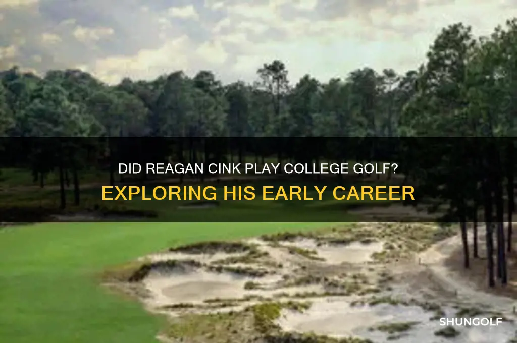 did reagan cink play college golf