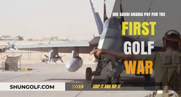 Saudi Arabia's Role in Funding the First Gulf War: Fact or Fiction?