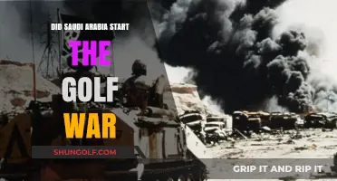 Unveiling the Truth: Saudi Arabia's Role in the Golf War