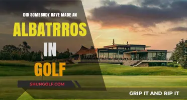 Has Anyone Ever Scored an Albatross in Golf History?
