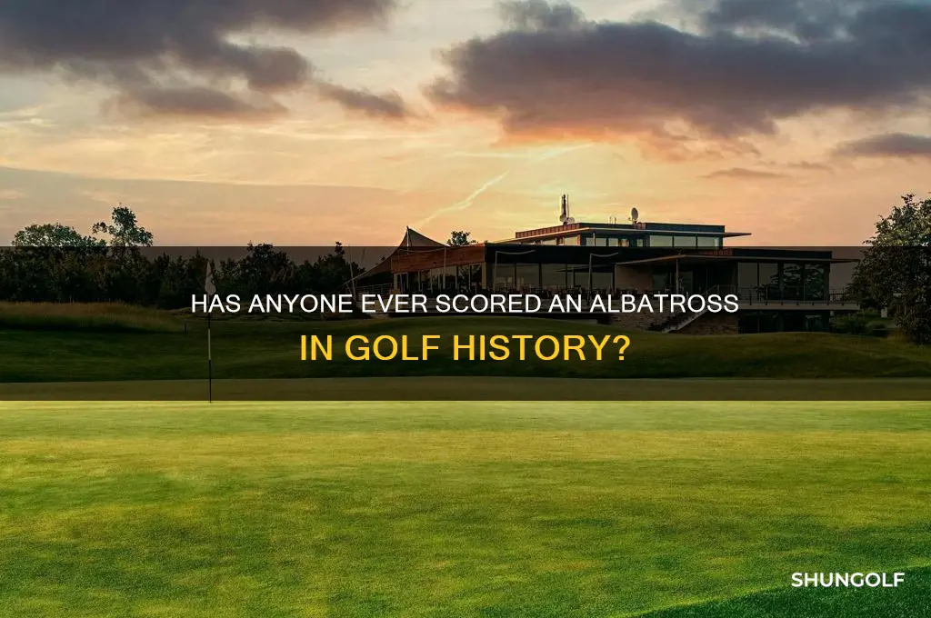 did somebody have made an albatrros in golf