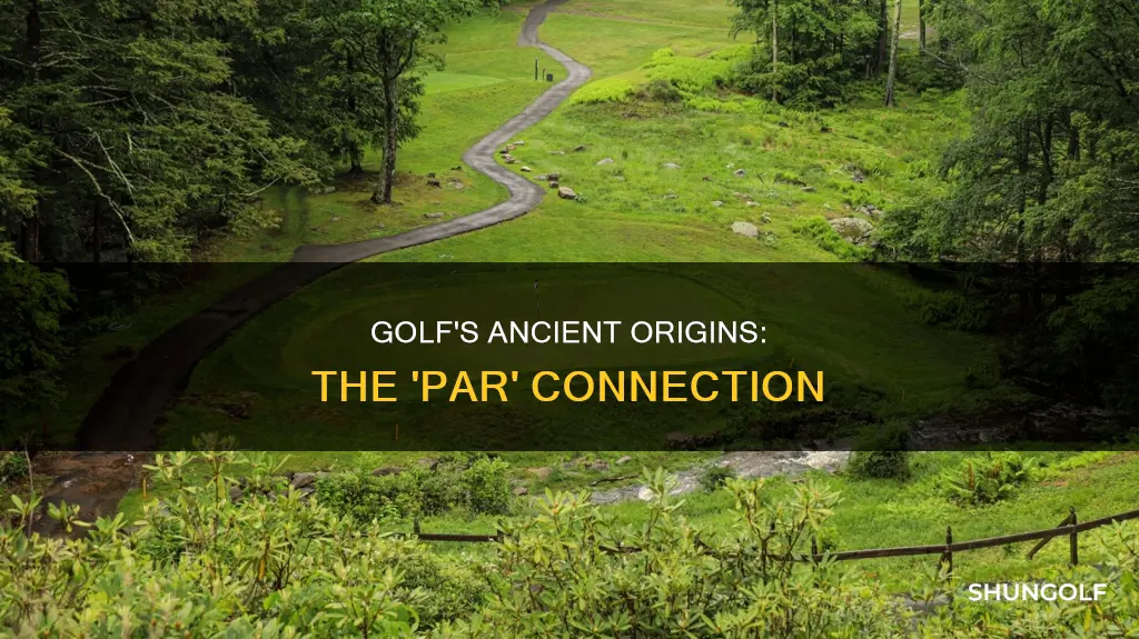 did the term par predate golf