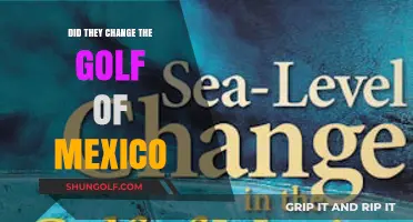Has the Gulf of Mexico Changed? Exploring Recent Developments and Impacts