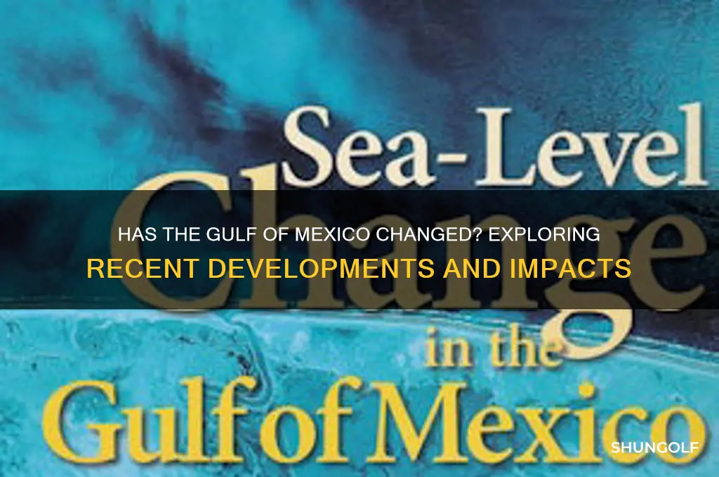 did they change the golf of mexico