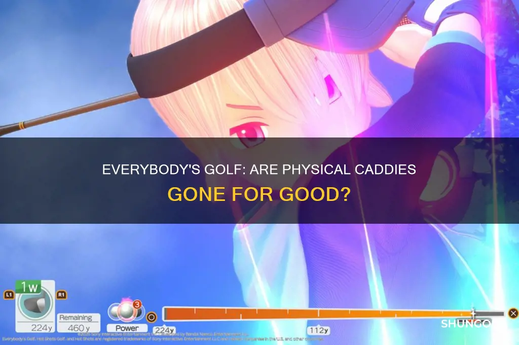 did they remove the physical caddies in everybodys golf