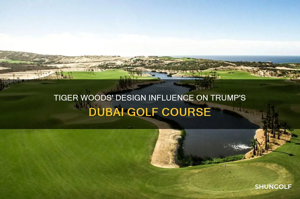 did tiger design trumps dubai golf course