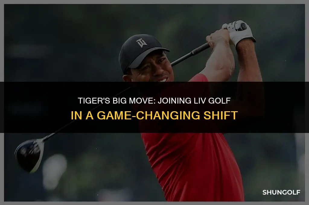 did tiger go to liv golf