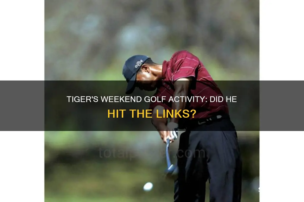 did tiger play golf this weekend