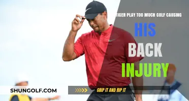 Did Tiger Woods' Golf Overload Lead to His Back Injury?