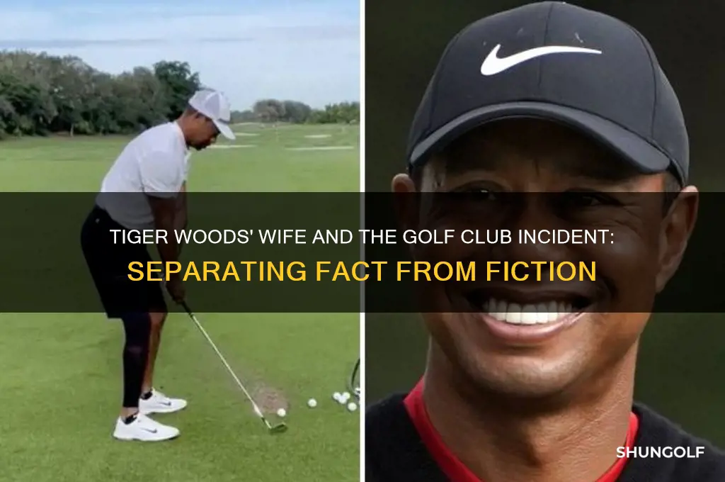 did tiger wood wife hit him with a golf club