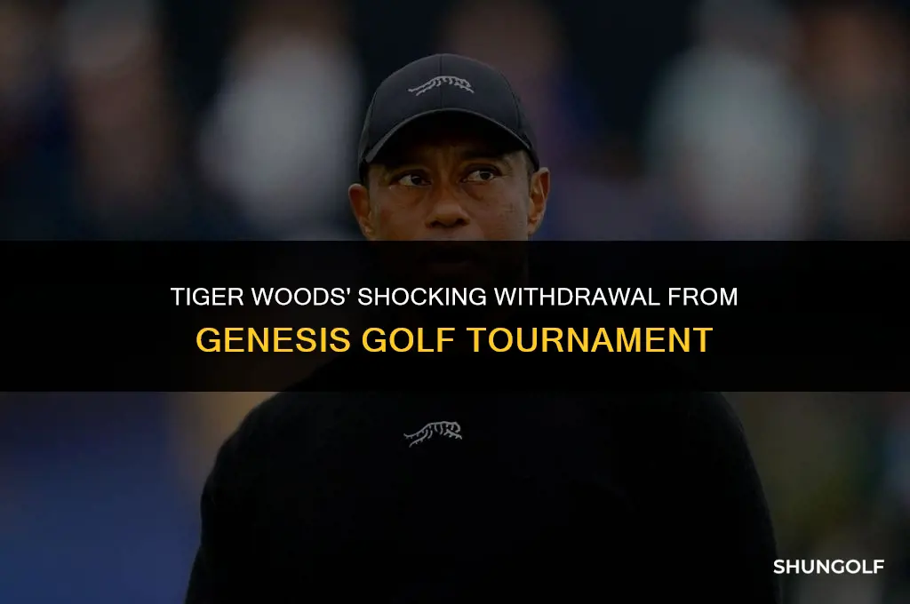 did tiger woods drop out of the genesis golf tournament