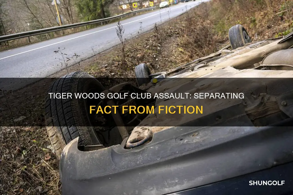 did tiger woods get beat with a golf club
