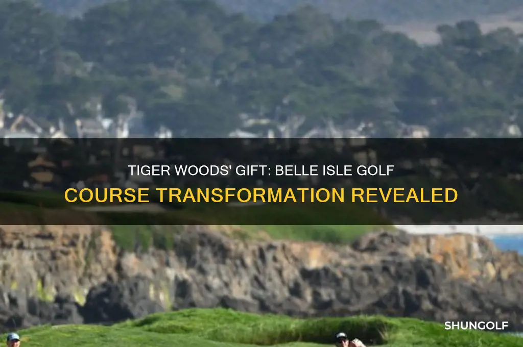 did tiger woods give a golf course to belle isle
