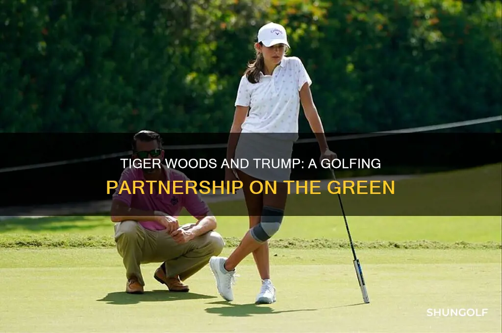 did tiger woods play golf with trump