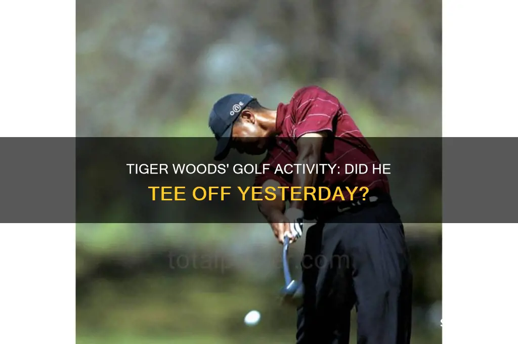 did tiger woods play golf yesterday