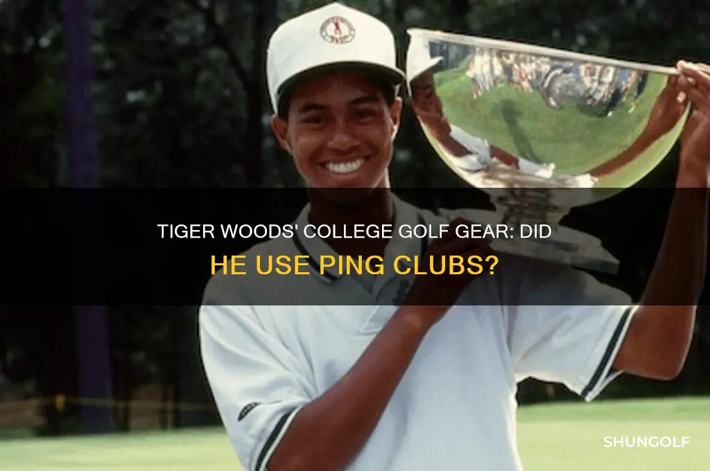 did tiger woods play ping golf clubs in college