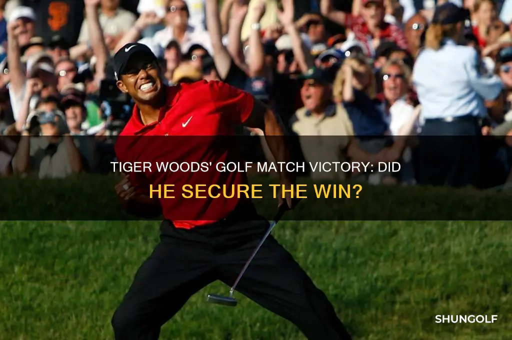 did tiger woods win the golf match