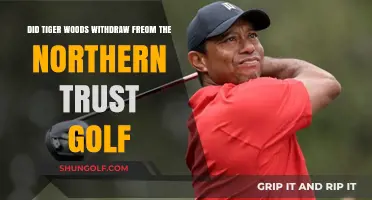 Tiger Woods Withdraws from The Northern Trust: What Happened?