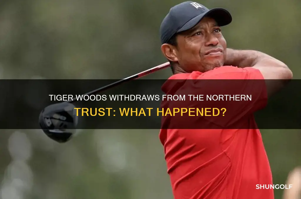 did tiger woods withdraw freom the northern trust golf