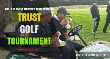 Tiger Woods Withdraws from Northern Trust Golf Tournament