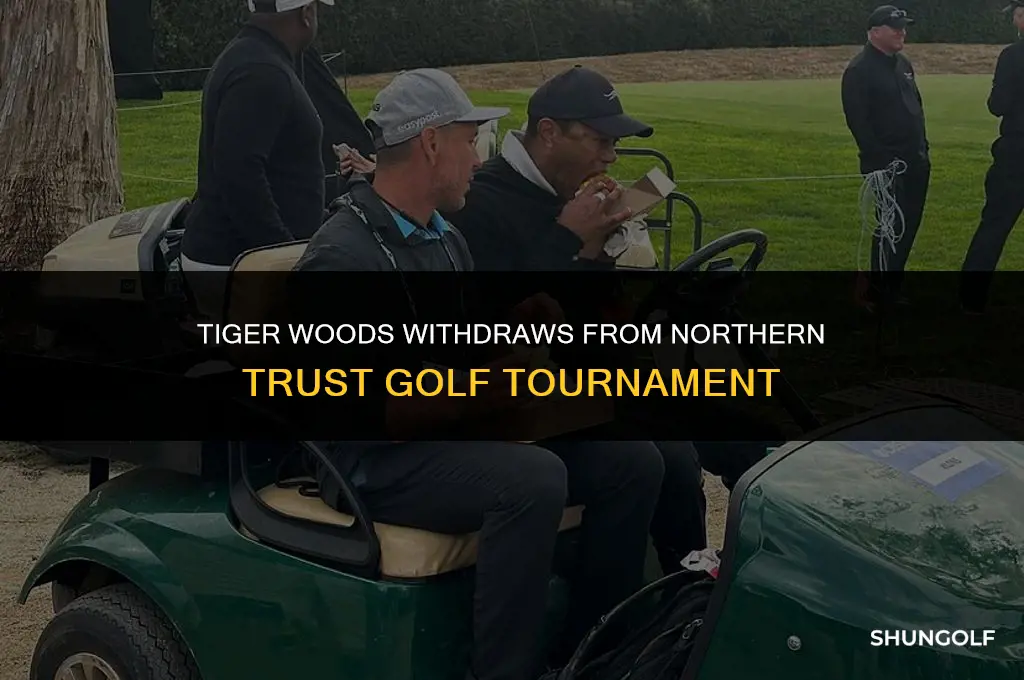 did tiger woods withdraw from northern trust golf tournament