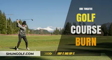 Did Tokatee Golf Course Burn? Unraveling the Truth Behind the Rumors