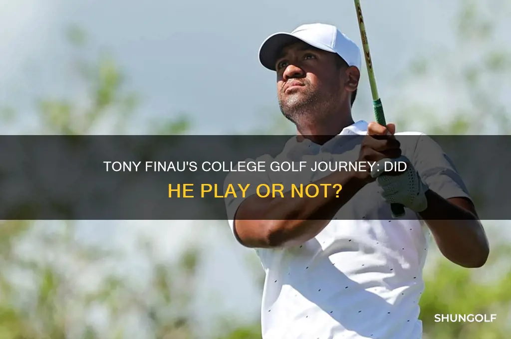 did tony finau play college golf