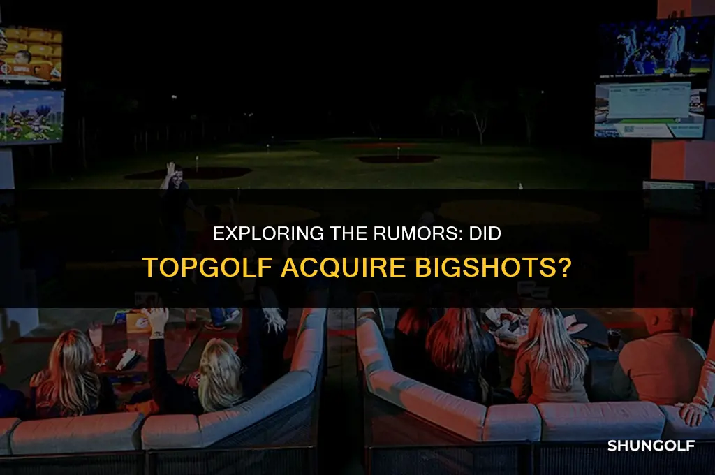 did top golf buy big shots