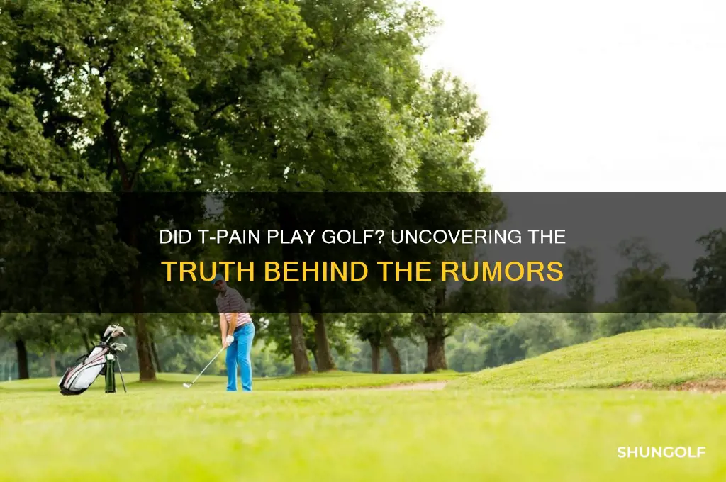 did tpain play golf