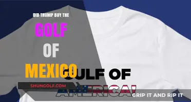 Did Trump Purchase the Gulf of Mexico? Unraveling the Rumors