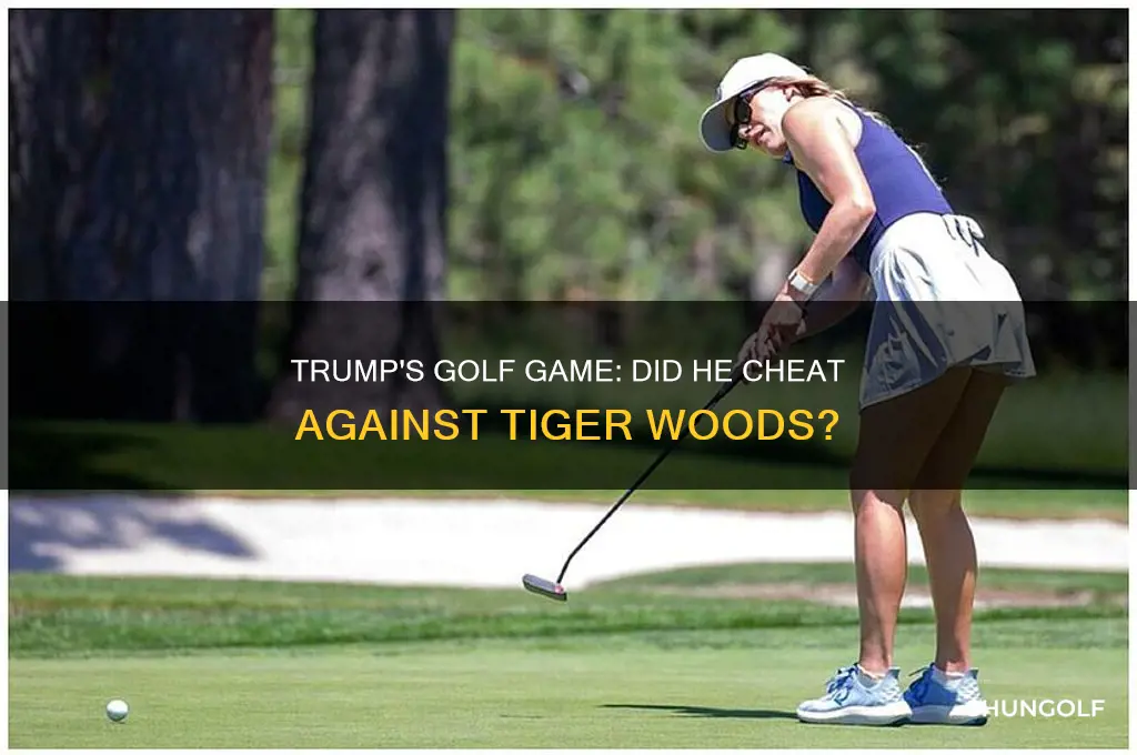 did trump cheat when playing golf with tiger