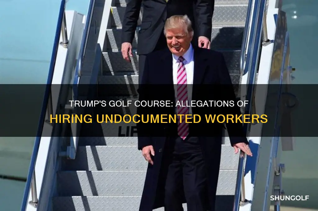 did trump employ illegals at his golf course